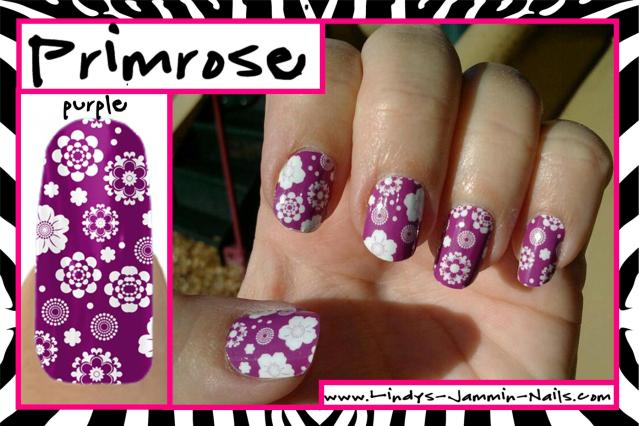primrose-purple-11.jpg